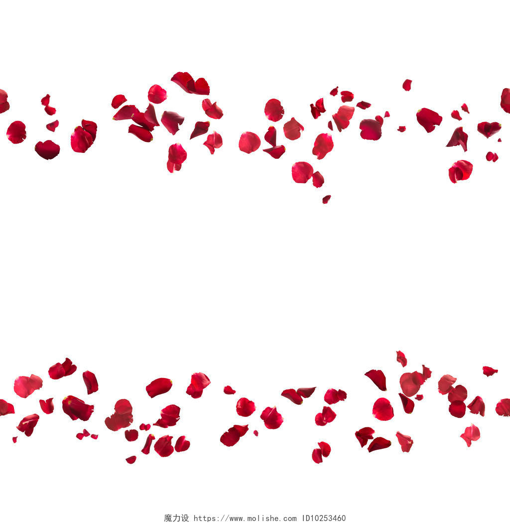 浪漫飞舞的红色的玫瑰花瓣背景七夕520情人节214情人节